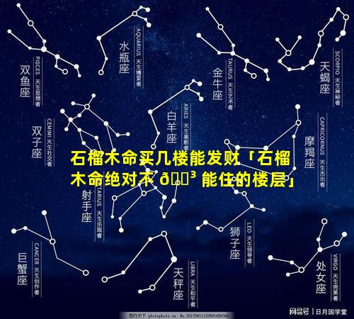 石榴木命买几楼能发财「石榴木命绝对不 🌳 能住的楼层」